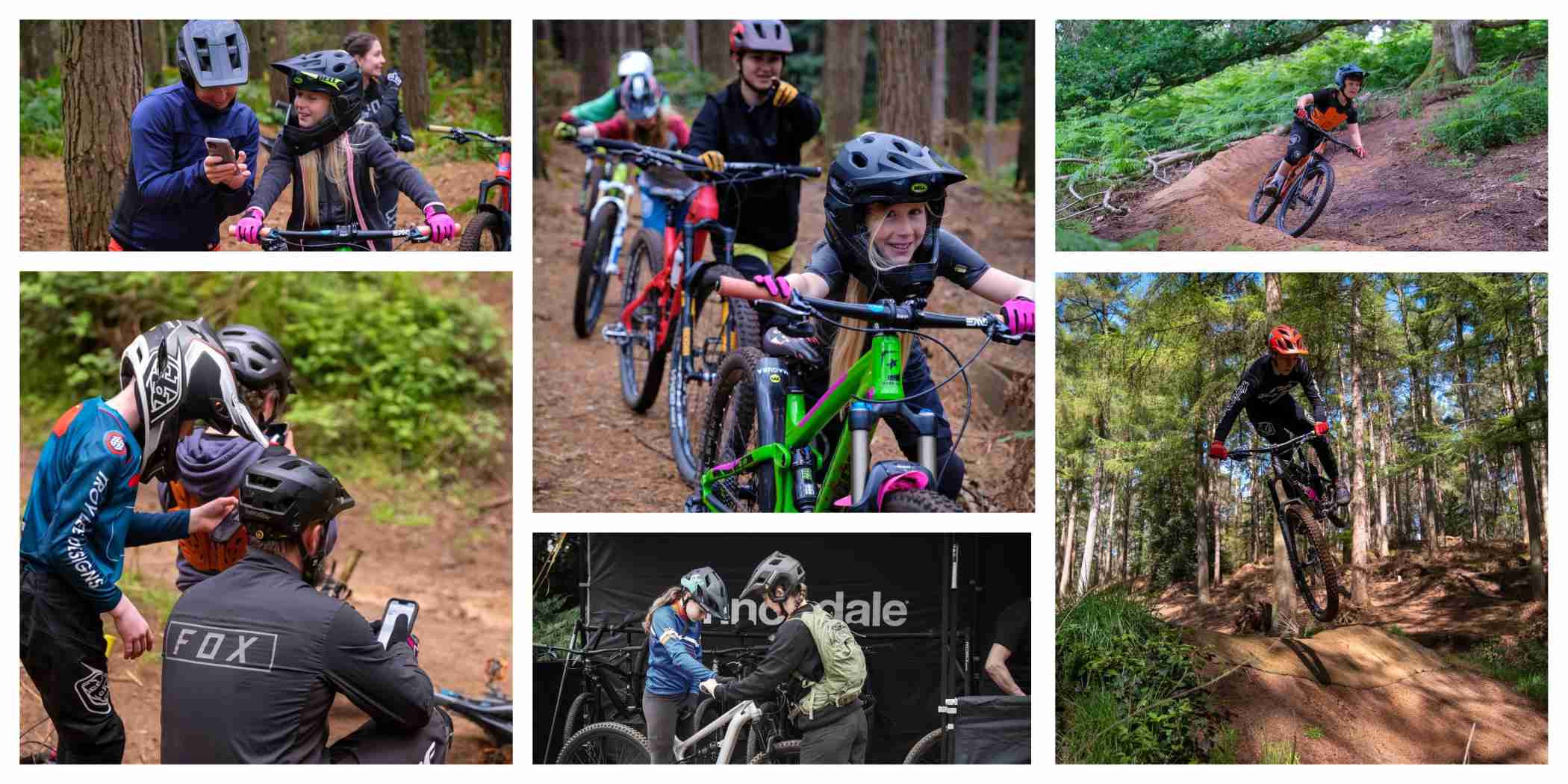 Trail collage n hawkins