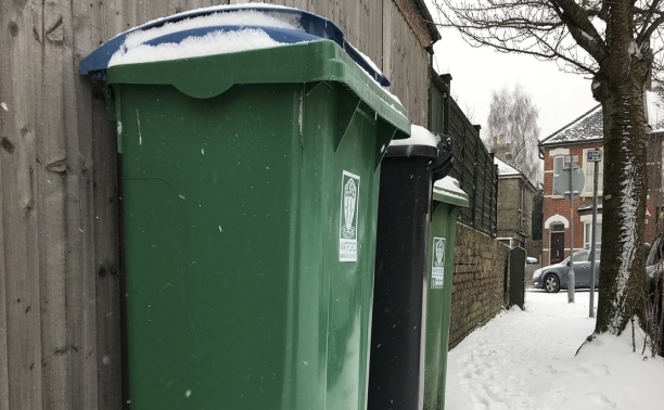 Green and Black wheelie bin