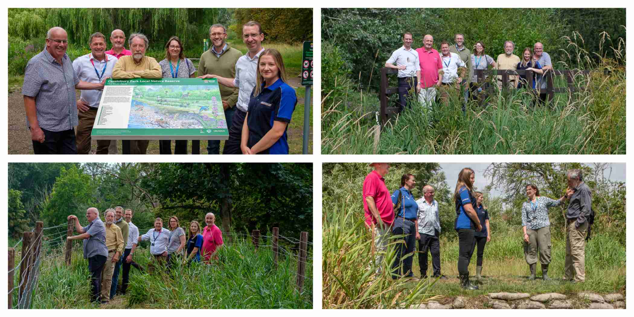 Wetlands july 25 collage web